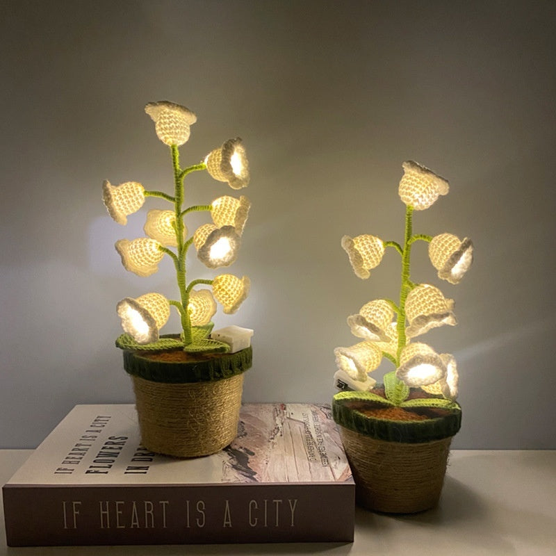 Charming Lighting Decor Gift for Cozy Vibes